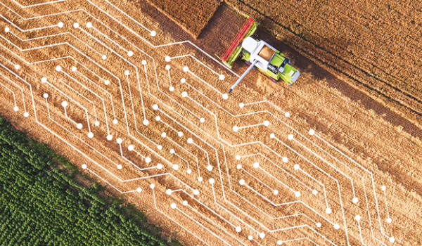 Support Facility for Broadband Competence Offices (BCOs)